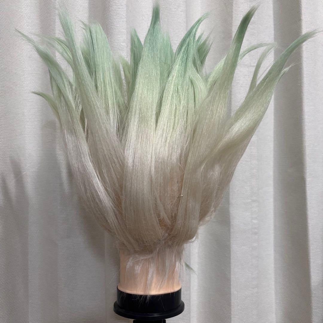 石神千空 コスプレ 衣装 ウィッグ ドクスト Dr.STONE