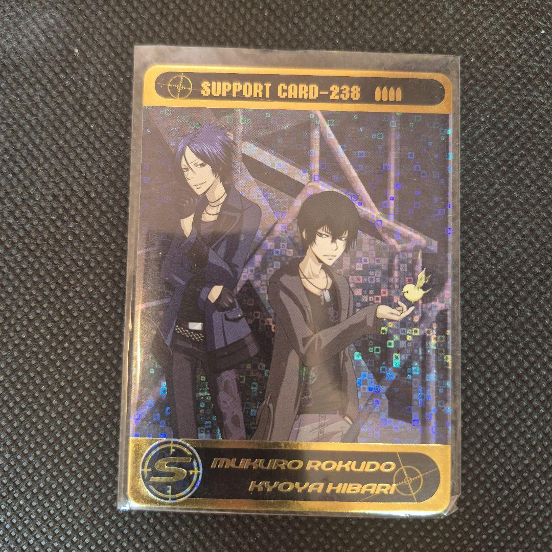 家庭教師ヒットマンリボーン　サザンクロスバトル　ミラクルボンゴレア　六道骸&雲雀