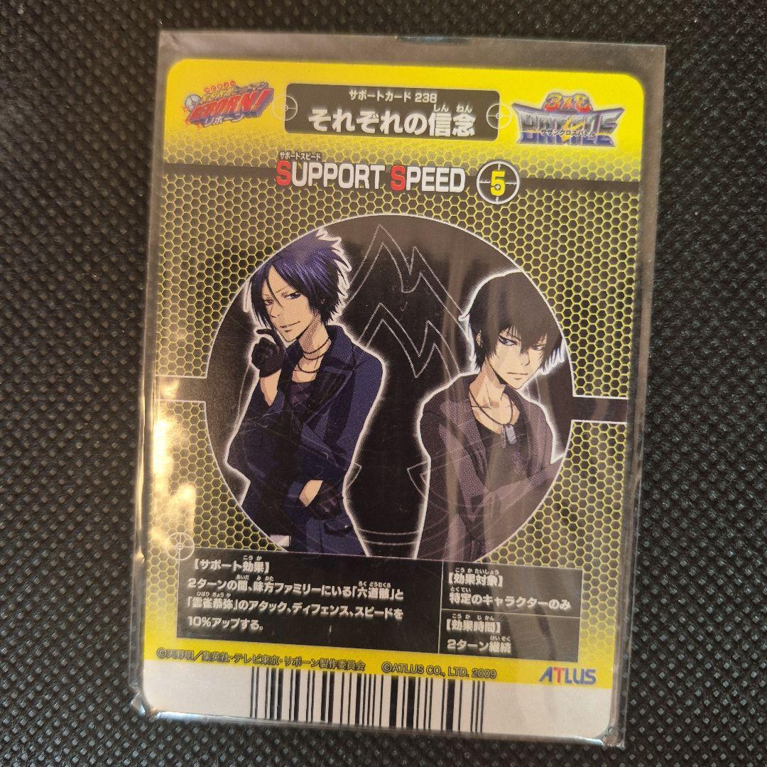 家庭教師ヒットマンリボーン　サザンクロスバトル　ミラクルボンゴレア　六道骸&雲雀