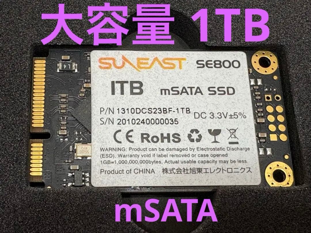 大容量 mSATA SSD 1TB SUNEAST SE800 低頻度利用