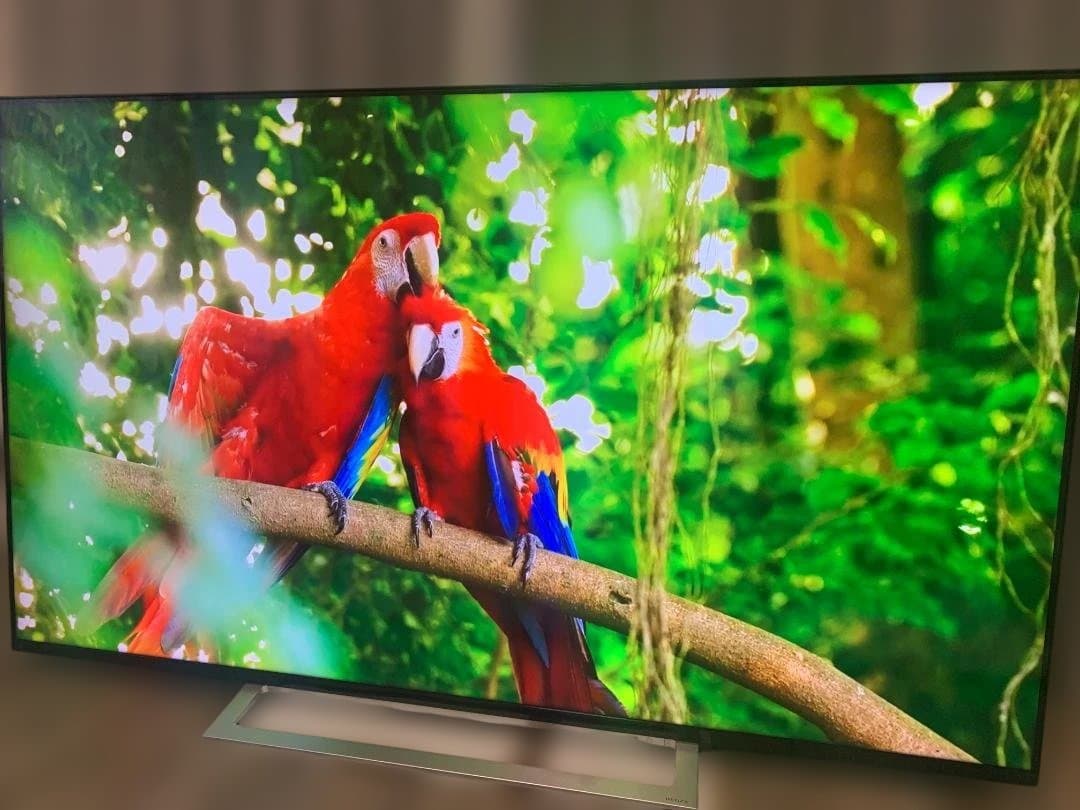 東芝 65V型 4Kチューナー内蔵 液晶テレビ レグザ 65M520X W録画