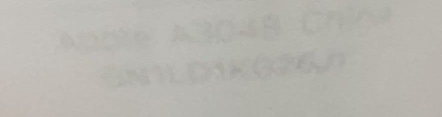 ikkiさん専用【美品】Apple AirPods Pro2 左耳用 A3048