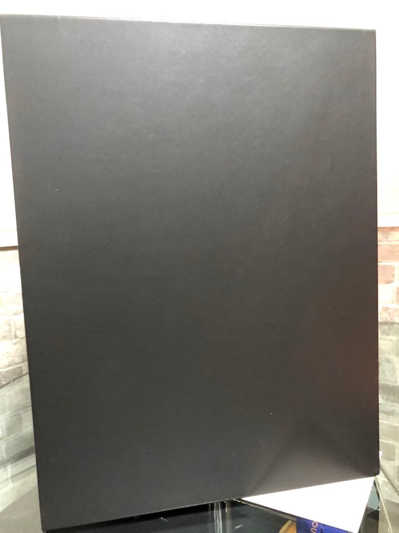 エルメス　シェーヌダンクル　特大ネックレスケース　希少品