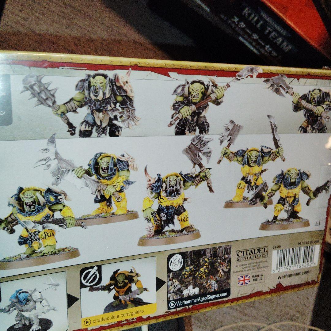 ヴァイスシュヴァルツブラウ Warhammer Age of Sigmar Orruk Brutes