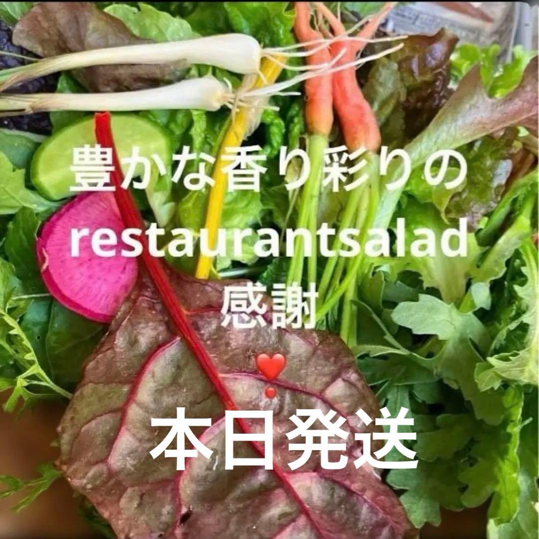 豊かな香り彩のrestaurant salad サラダ野菜詰合せ　本日発送
