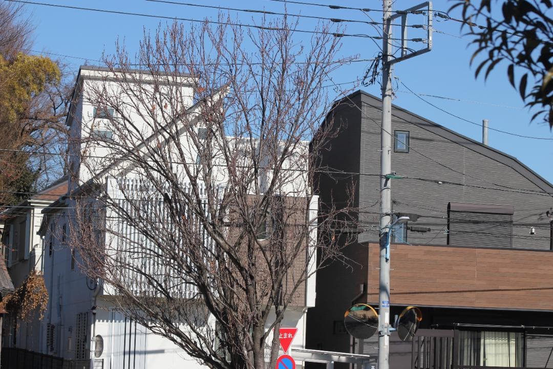 Tokina SD 11-16mm F2.8 （IF） DX CANON用