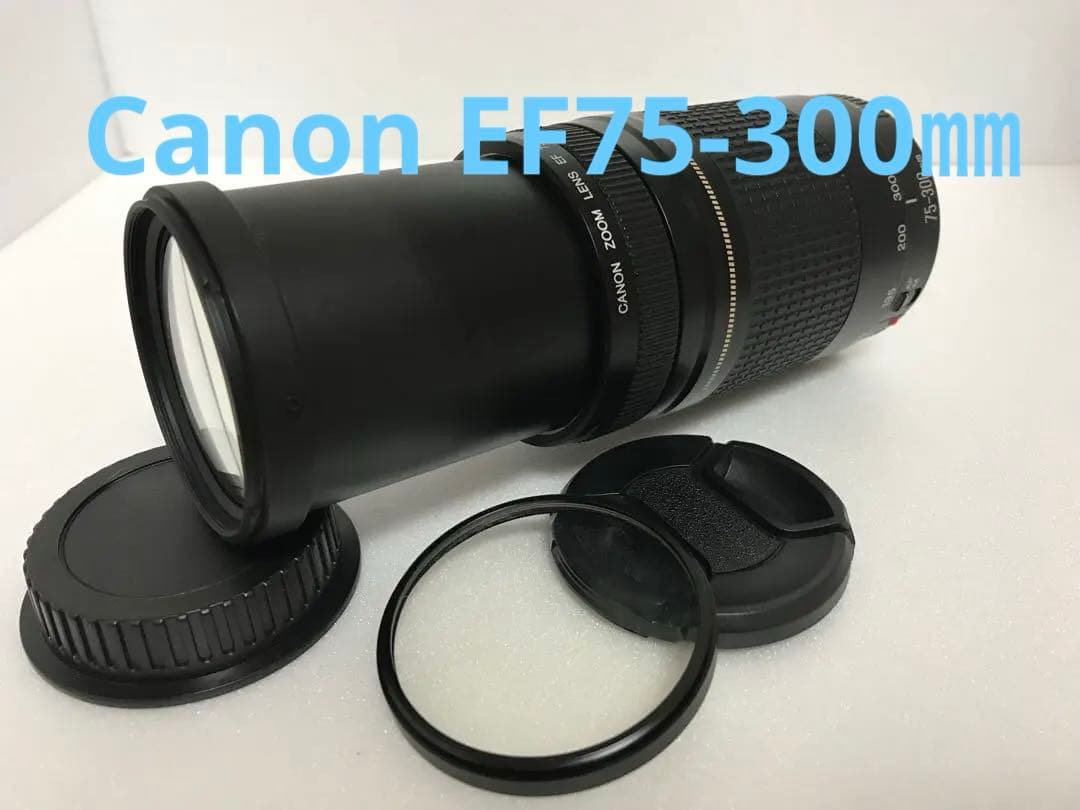 キヤノン/デジタル一眼レフカメラ/Canon EF75-300㎜