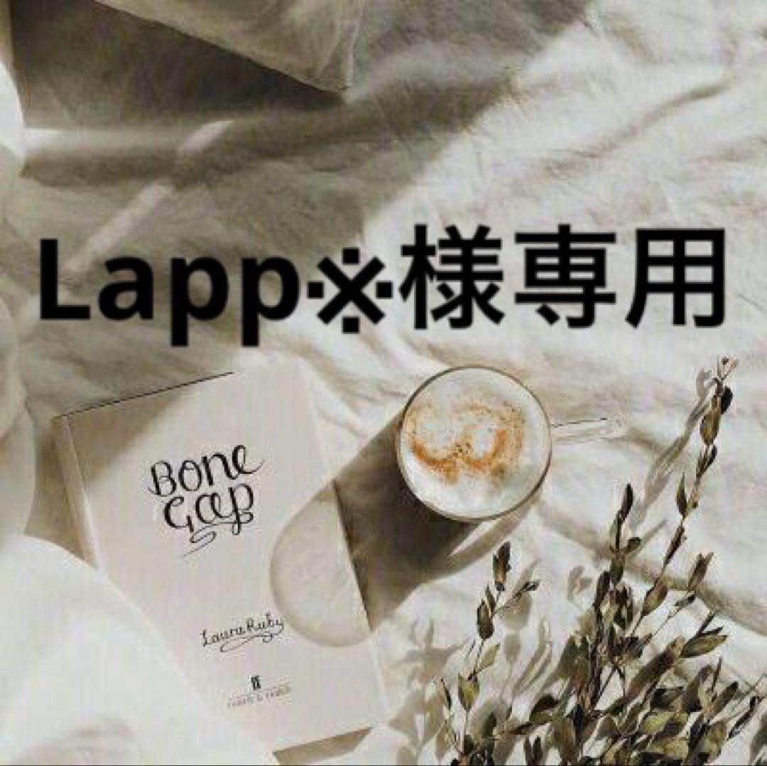 Lapp※コメント・購入前にプロフ必読　0605