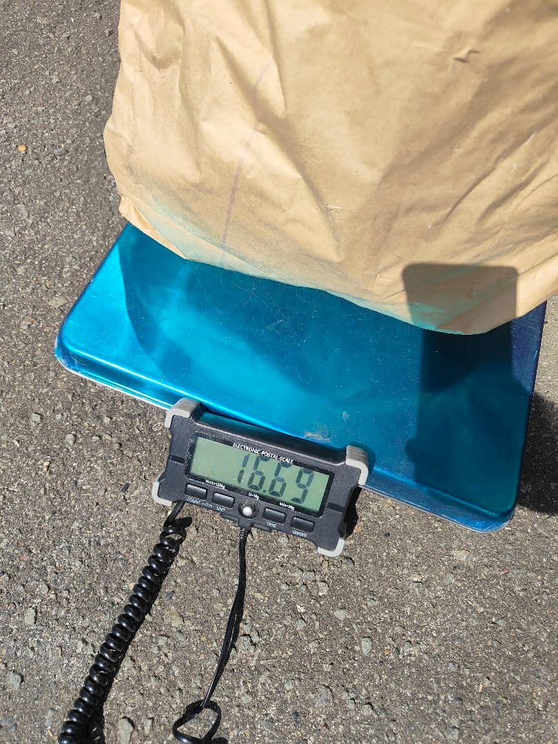 鹿の角　端材16kg　北海道産