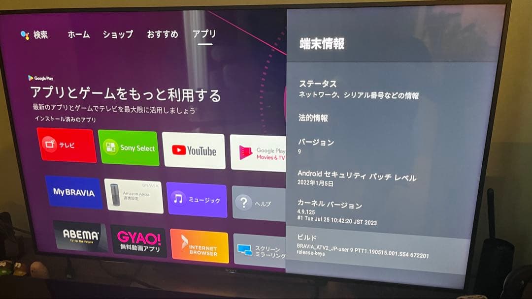 【SONY液晶テレビBRAVIA】KJ-49X9000E 49インチ