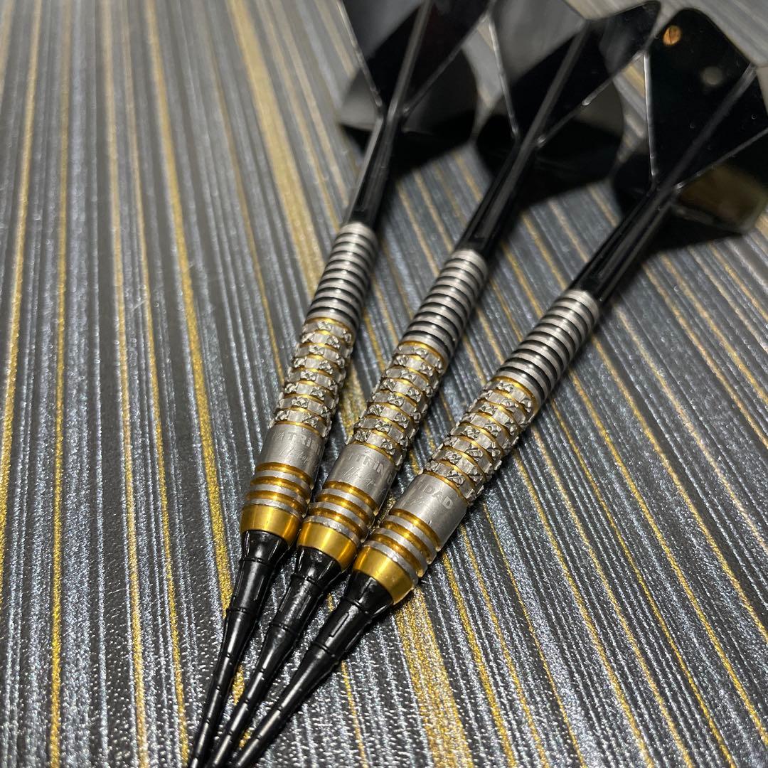 リカルドα ソフトダーツ 浅田斉吾 プロ 美品 箱無し