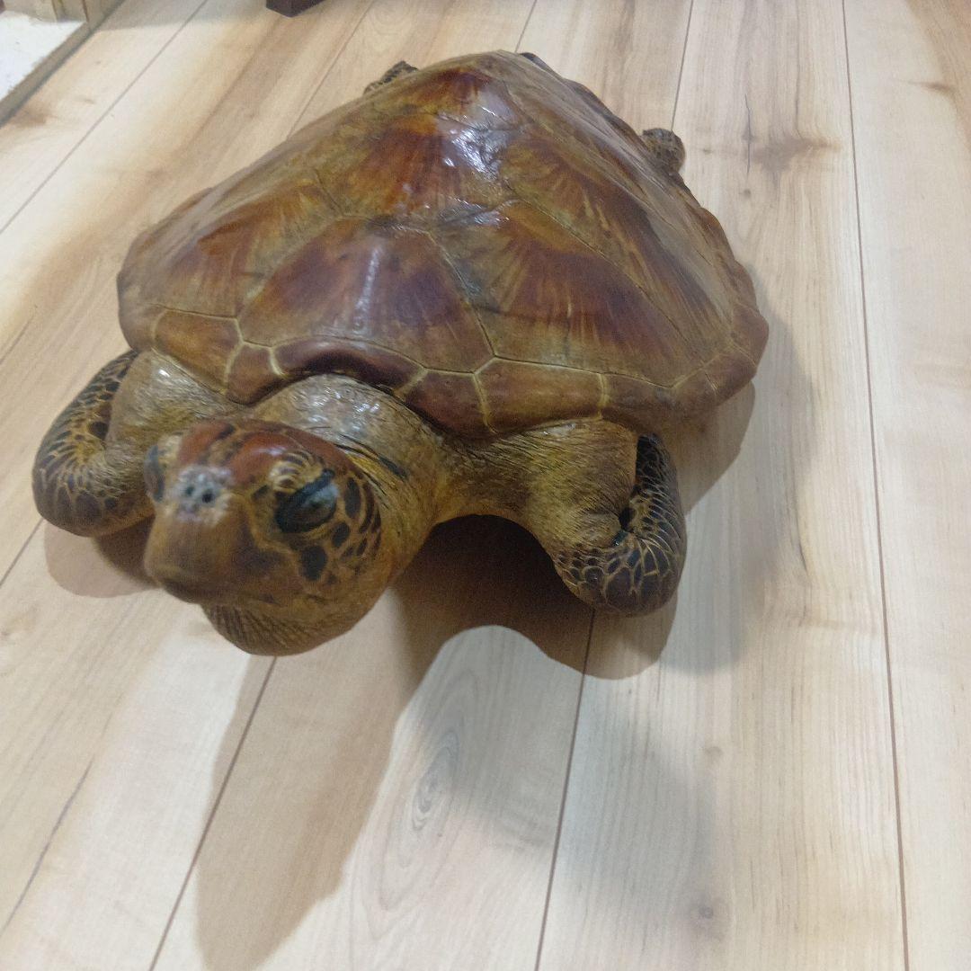 リアルな亀の置物 約60cm