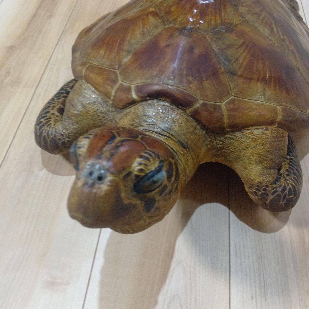 リアルな亀の置物 約60cm