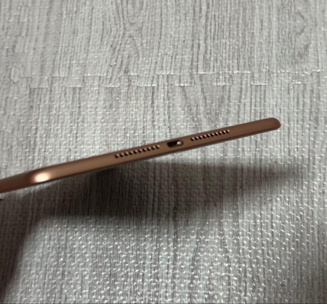 【美品】 iPad mini5 第5世代 64GB WiFi 割れ無し 本体のみ