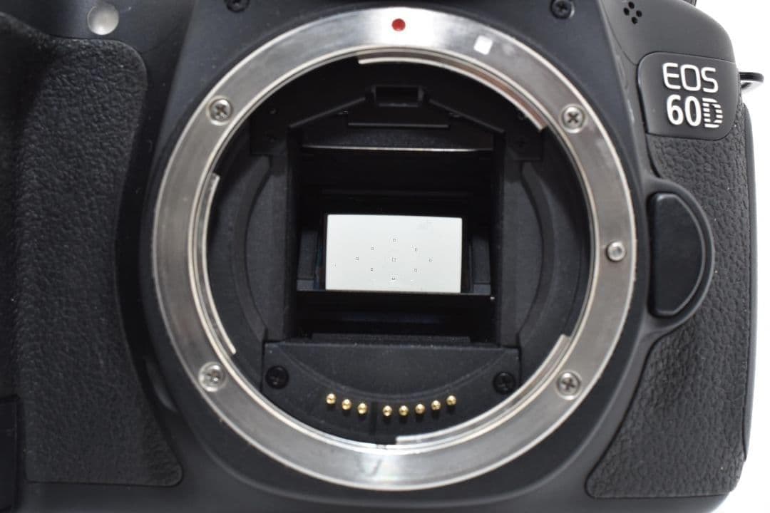 瞬間を捉える高速連写✨キヤノン EOS 60D✨超望遠 Ｗレンズ✨ショット数少