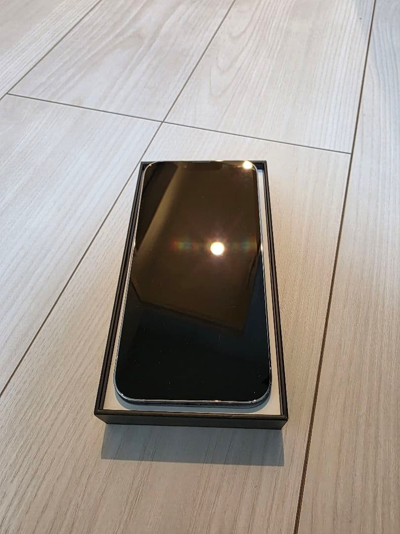 Apple iPhone 13 Pro シルバー 本体