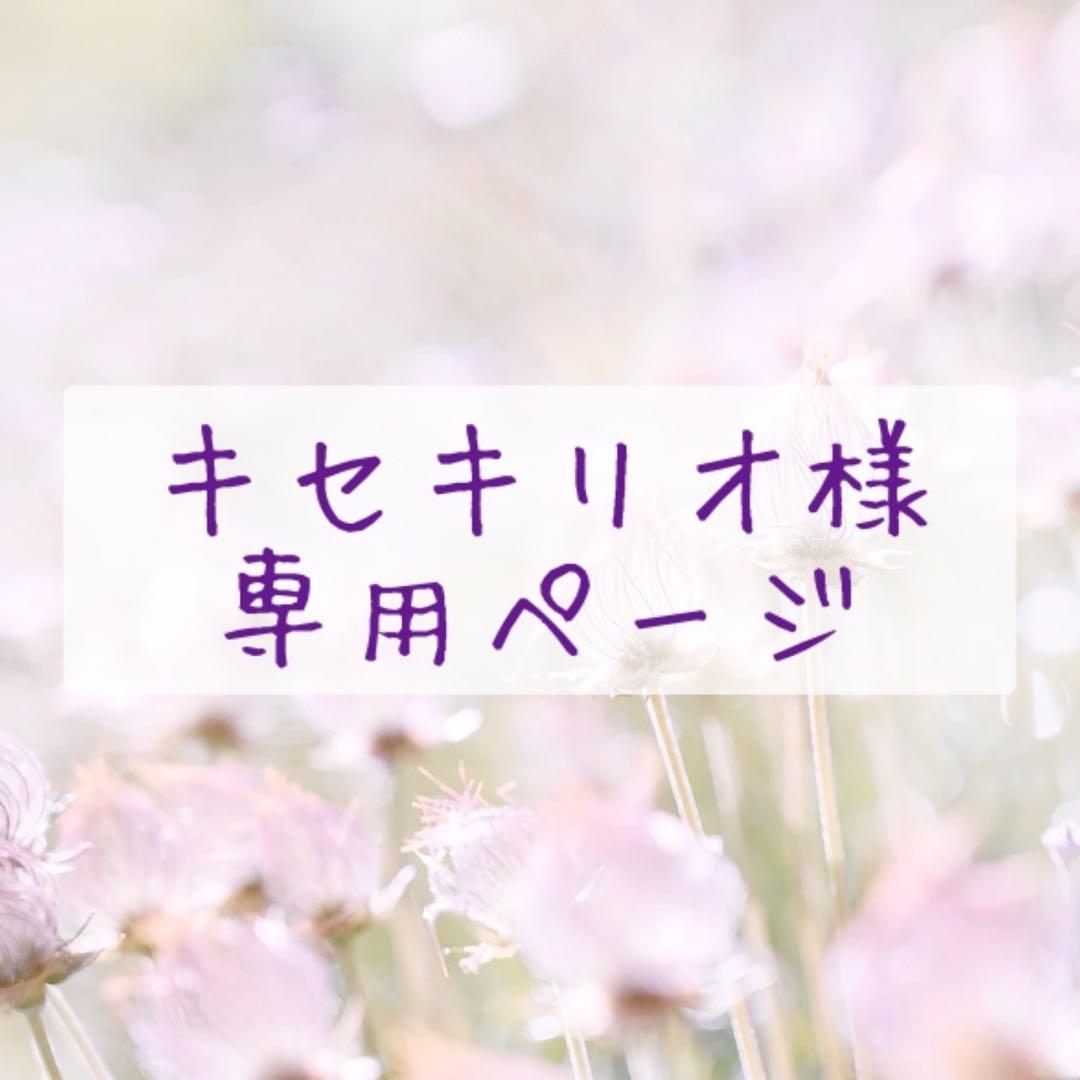 キセキリオページ