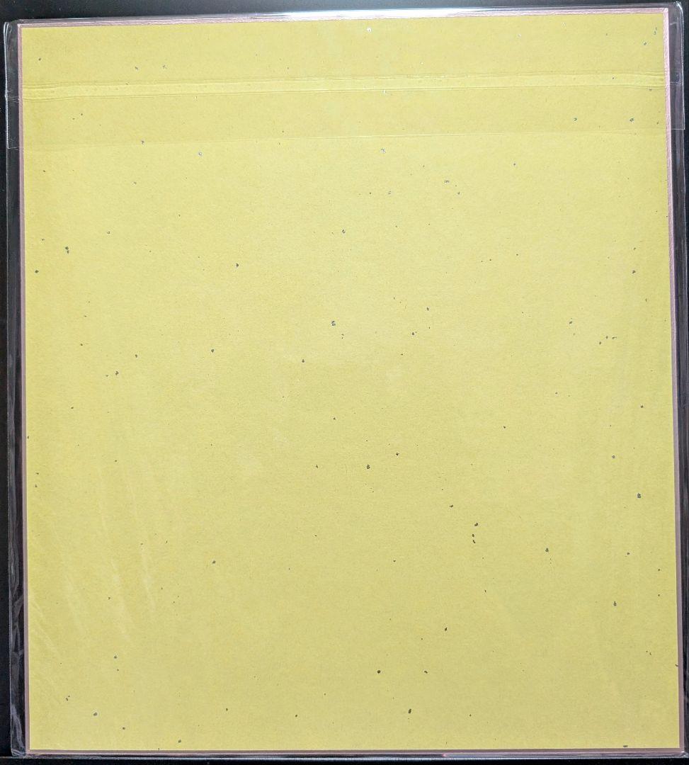 桜小路ルナ キャラソンcf限定フルカラー色紙2枚 クリアファイル Tシャツセット