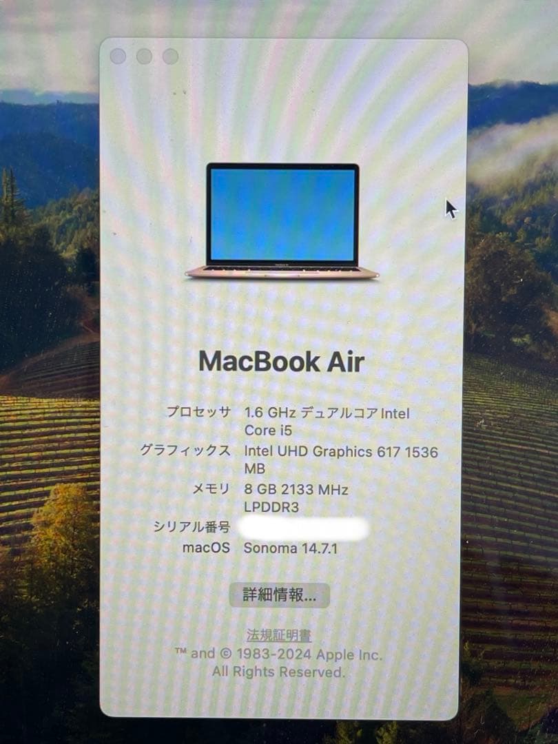 MacBook Air 13インチ / 256GB ゴールド　充電器つき