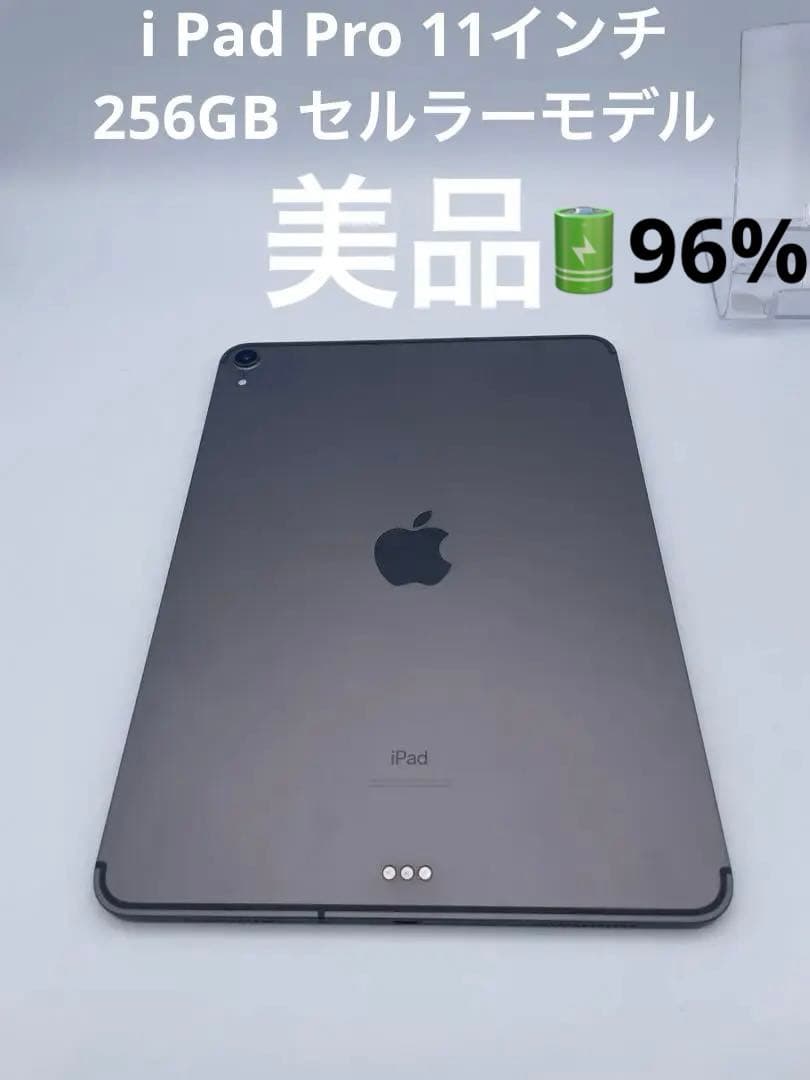 美品 iPad pro 11 本体 256 Wi-Fi + Cellular