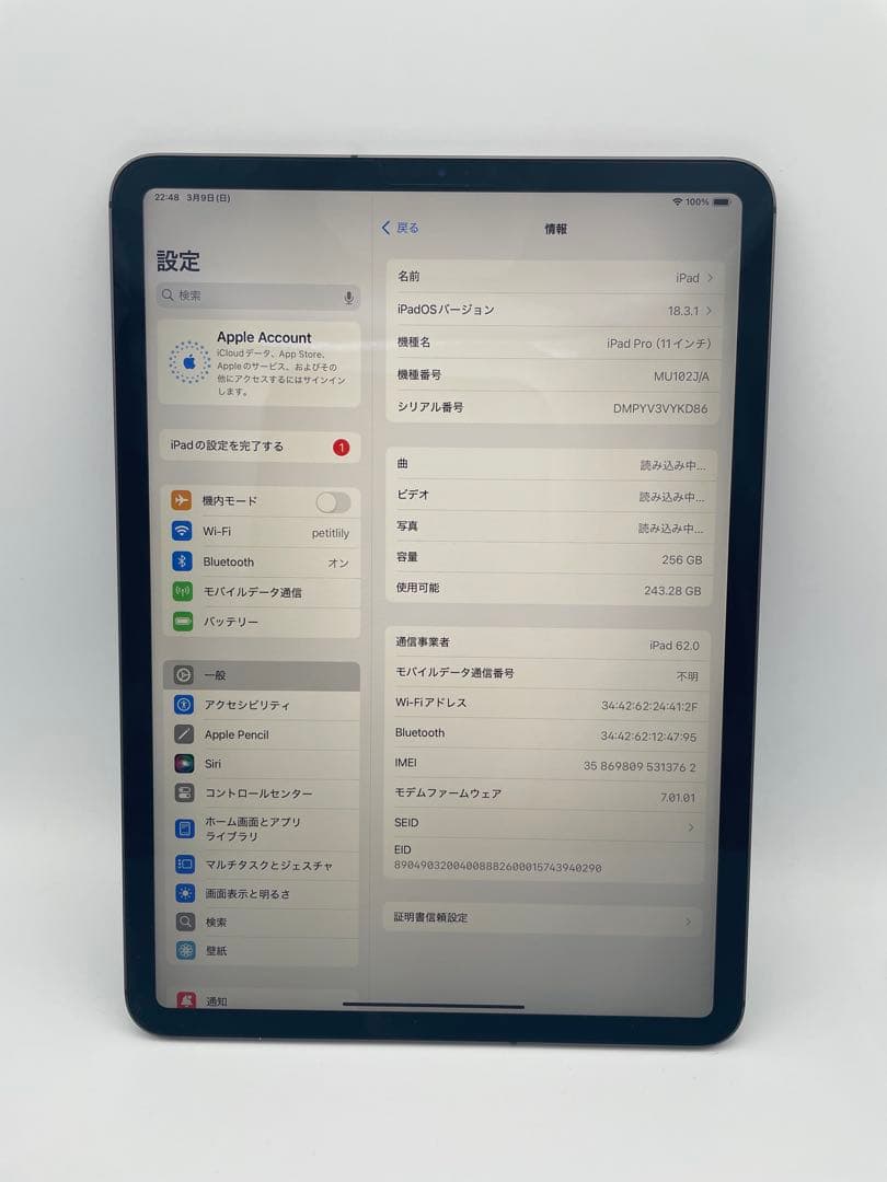 美品 iPad pro 11 本体 256 Wi-Fi + Cellular