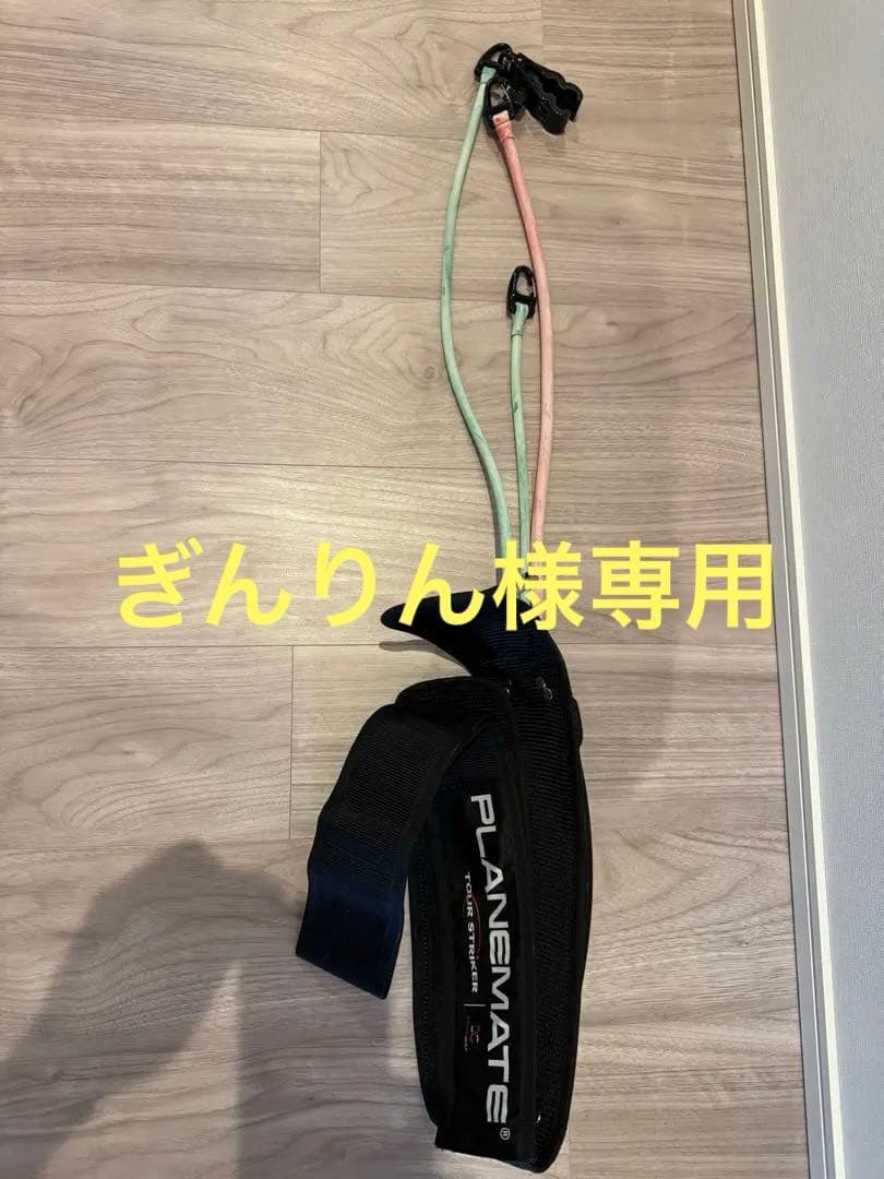 【ぎんりん】プレーンメイト PLANE MATE