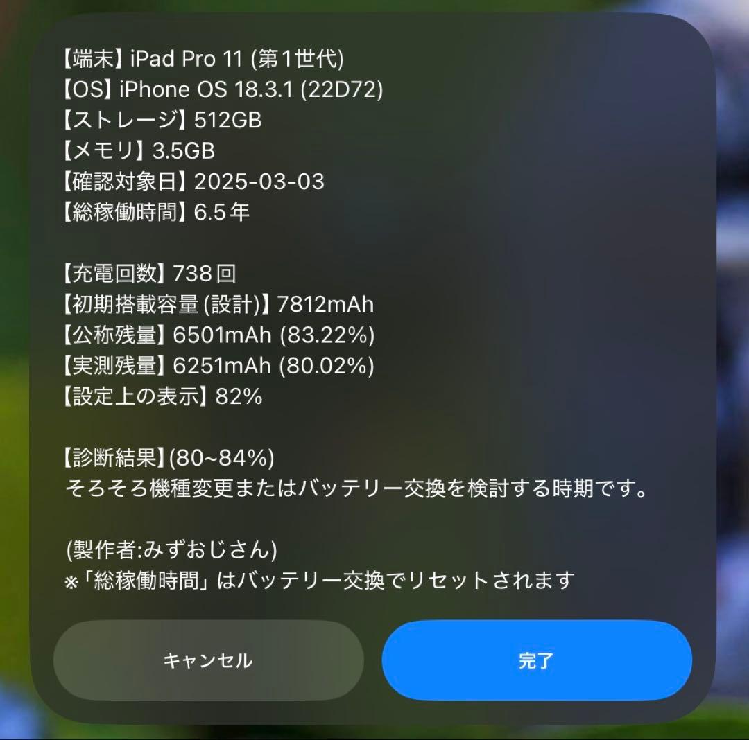 【Defi Sari 様用】iPad Pro 11インチ　第1世代(2018)