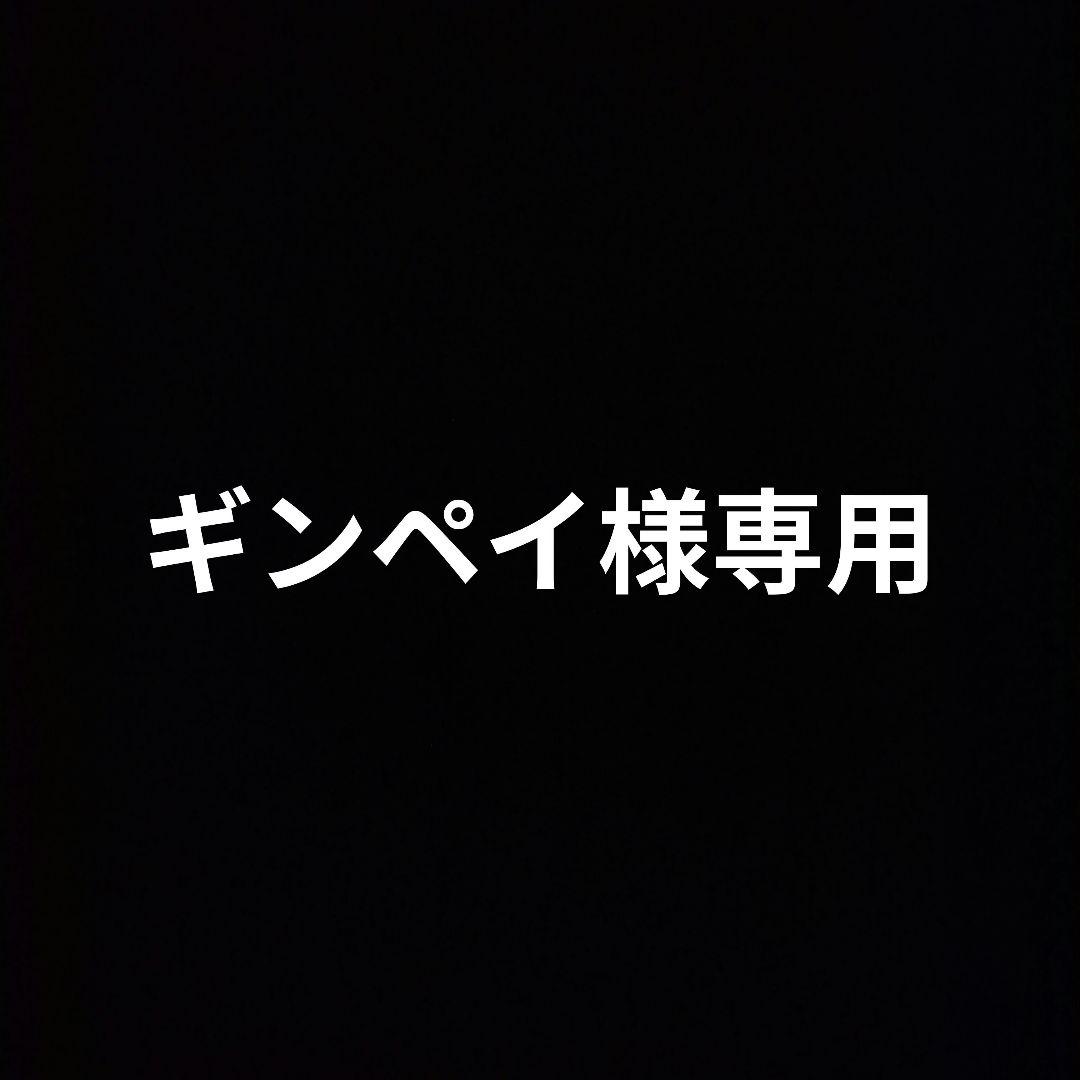 初期 ポケットモンスター ブロスカード 132種 132枚
