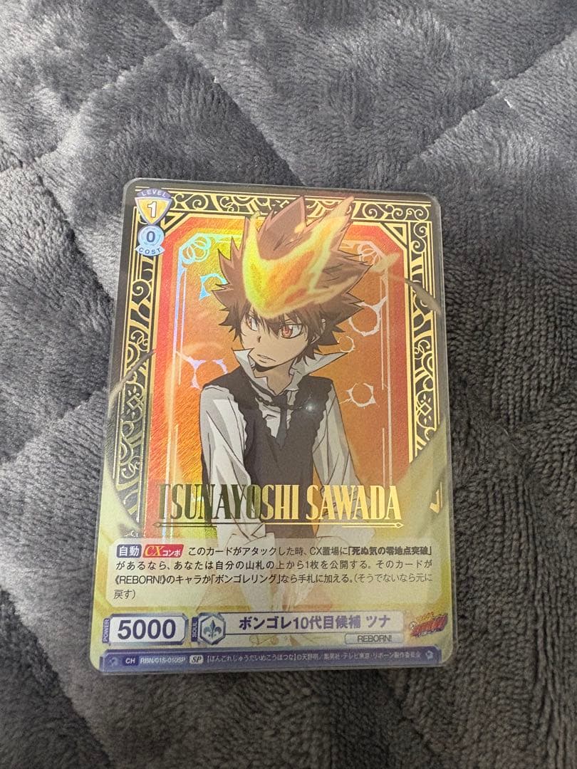 17 ヴァイスシュヴァルツブラウ ボンゴレ10代目候補 ツナ SP