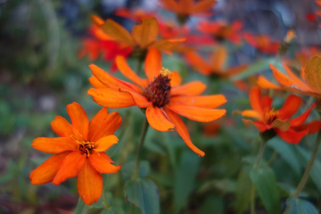 実写美⭕️美品【動作確認済み】SONY Cyber−Shot DSC-RX100