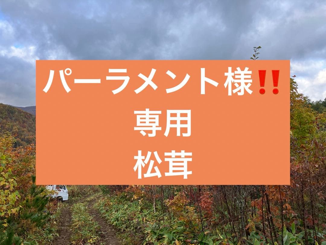 パーラメント様‼️専用松茸