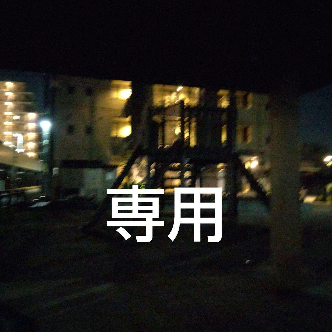 専用　ナンジャモ