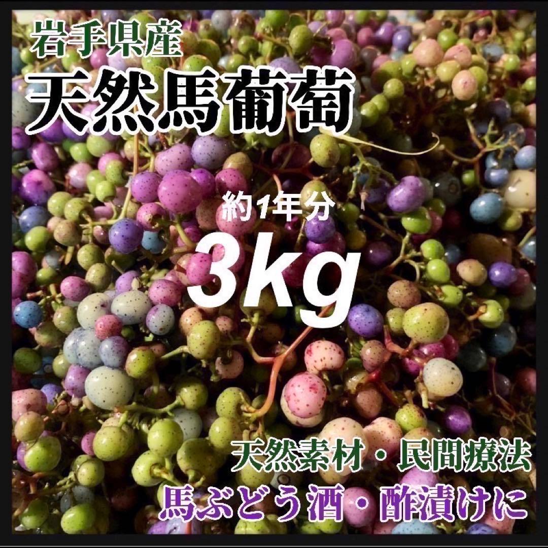 【採れたて】馬ぶどう250g×12袋　1年分3kg うまぶどう　薬膳　ウマブドウ