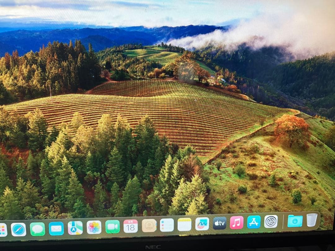 中古美品Apple Mac mini (2011) Win10+Sonoma