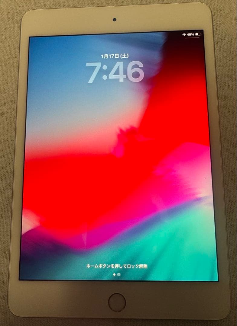 iPad本体 iPad mini5