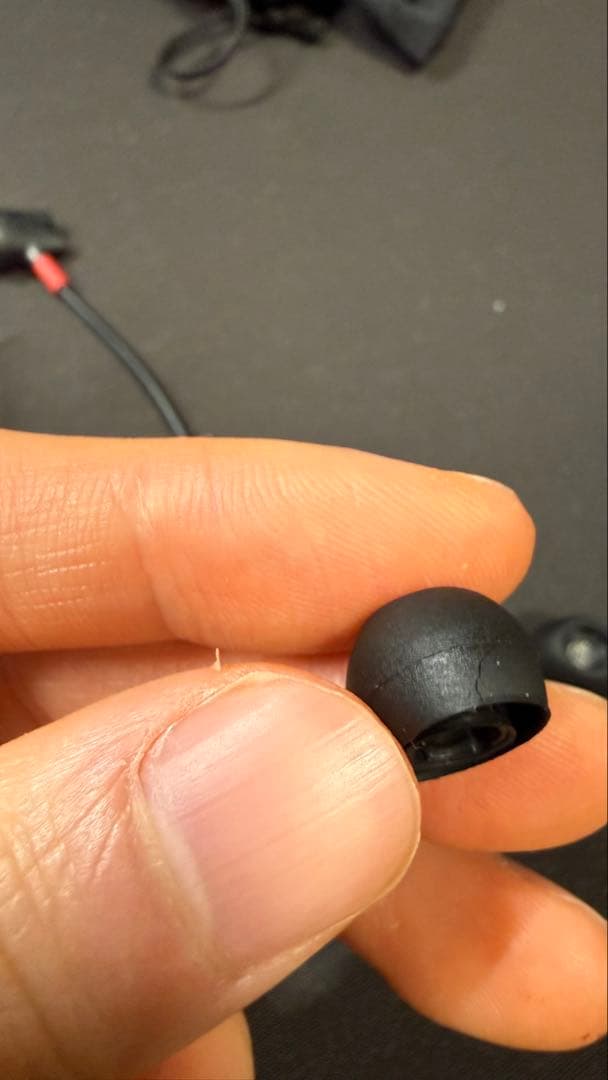 イヤホン SENNHEISER ie800s