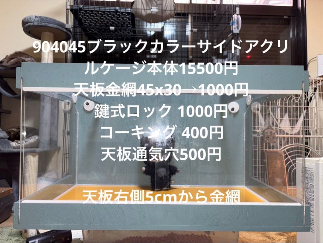 カタカニ　904045ブラックカラーサイドアクリル