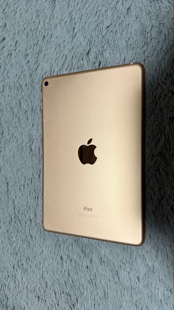 【ジャンク品】Apple iPad mini 第5世代　64GB 　本体のみ