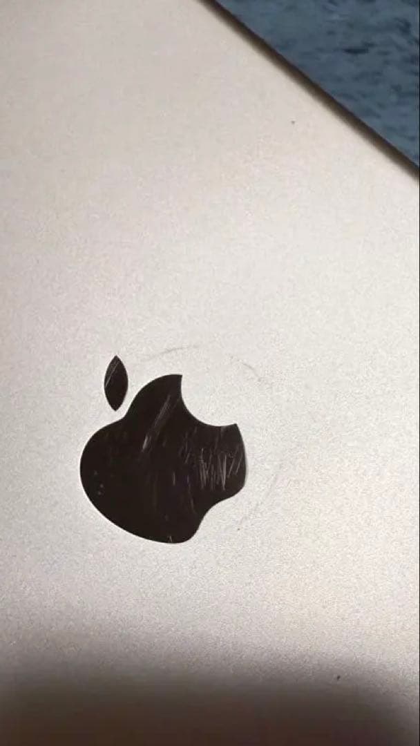 【ジャンク品】Apple iPad mini 第5世代　64GB 　本体のみ