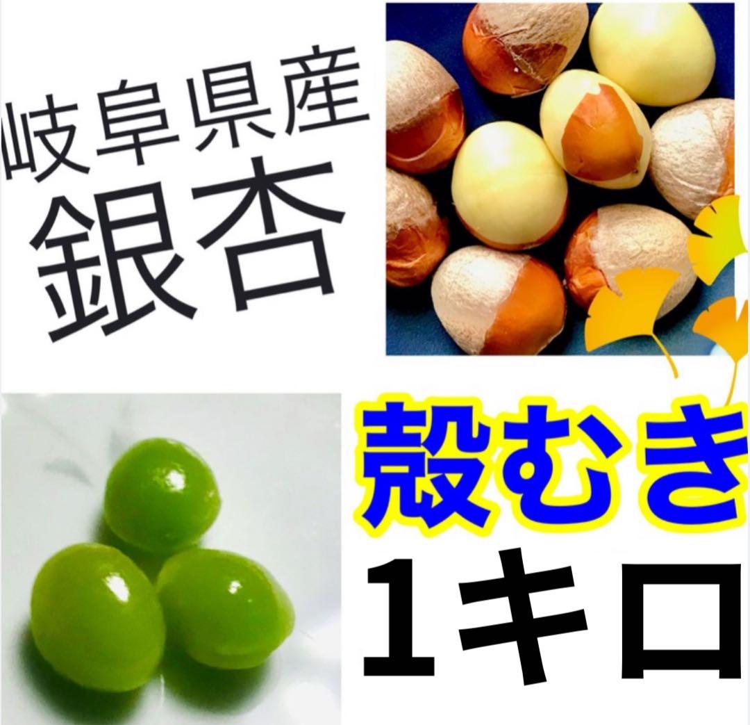 【森のちーさん】岐阜県産　銀杏　大粒　藤九郎　4キロ　殻剥き‼️