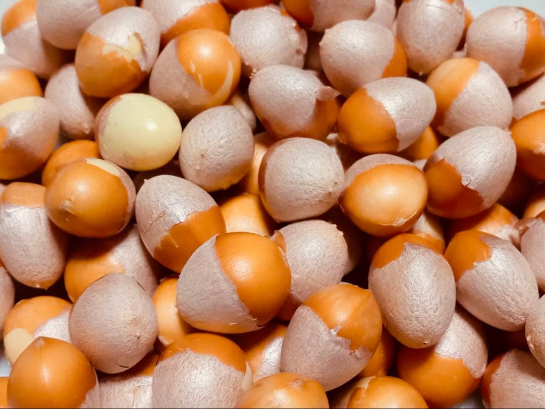 【森のちーさん】岐阜県産　銀杏　大粒　藤九郎　4キロ　殻剥き‼️