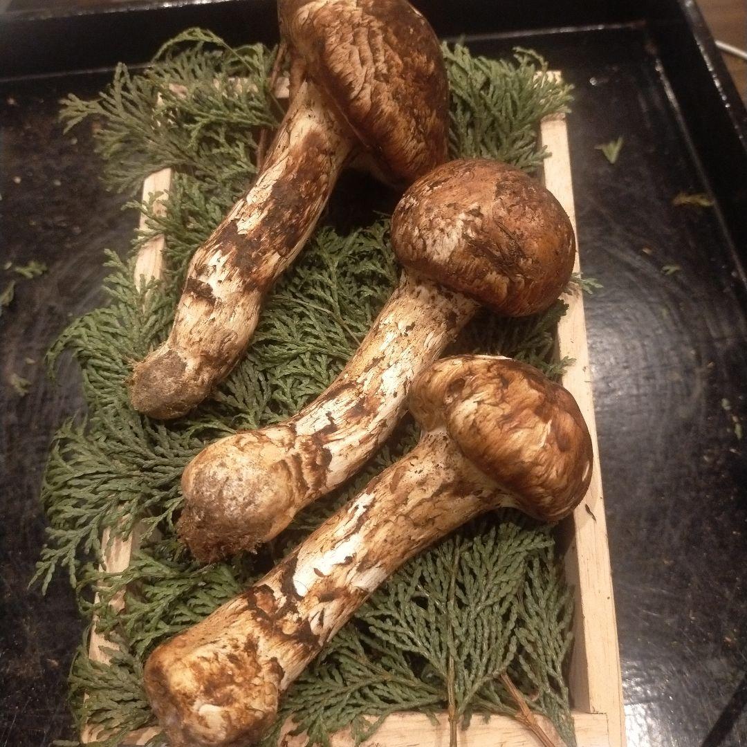 ③信州産 松茸　長野県　クール便　190g