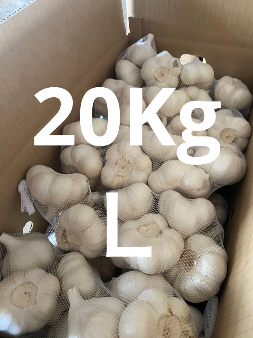 新物　青森県にんにく20キロ　Ｌ