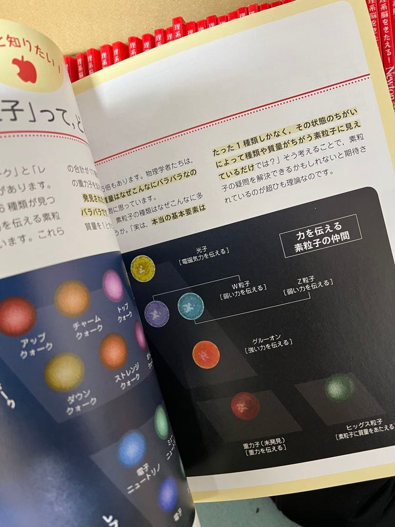 newton ライト　45冊