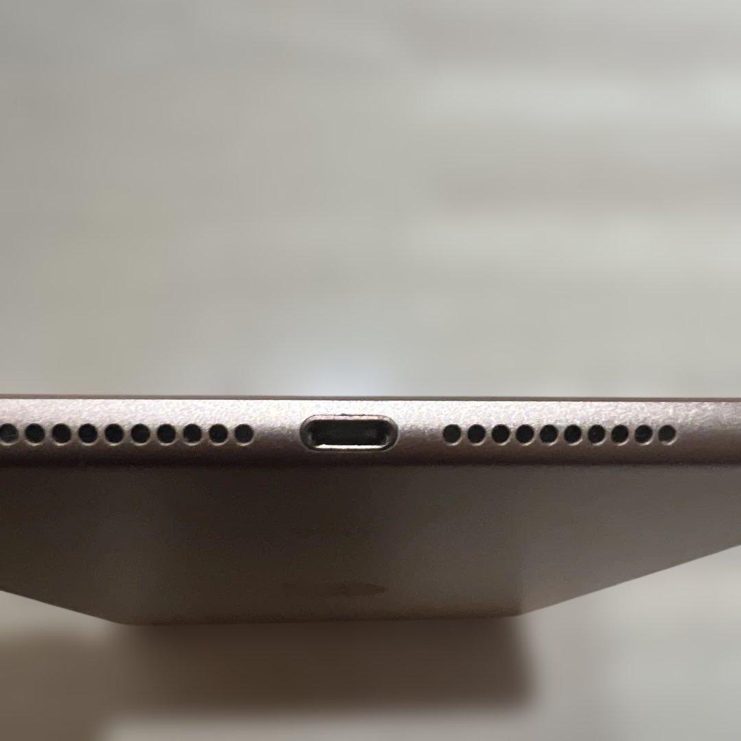 iPadmini第5世代セルラーモデル64GB本体のみ 背面カメラ故障