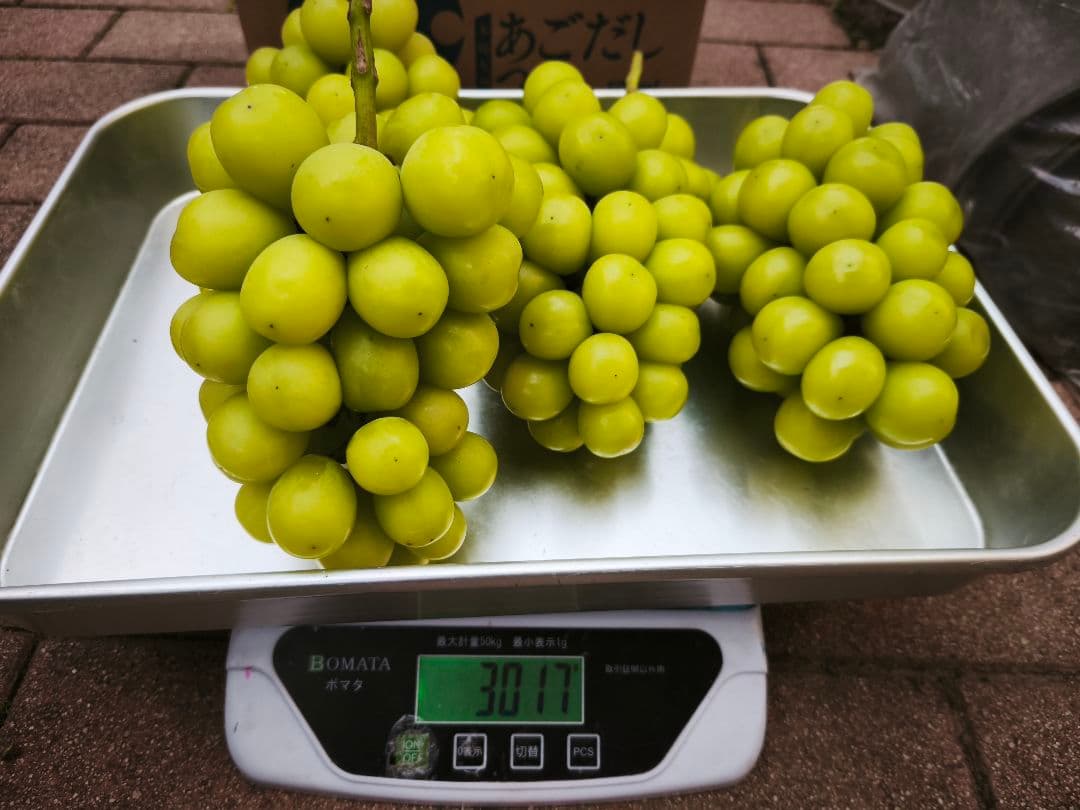シャインマスカット 3kg