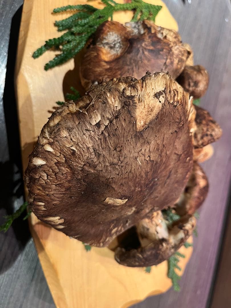 青森県下北産天然松茸280g