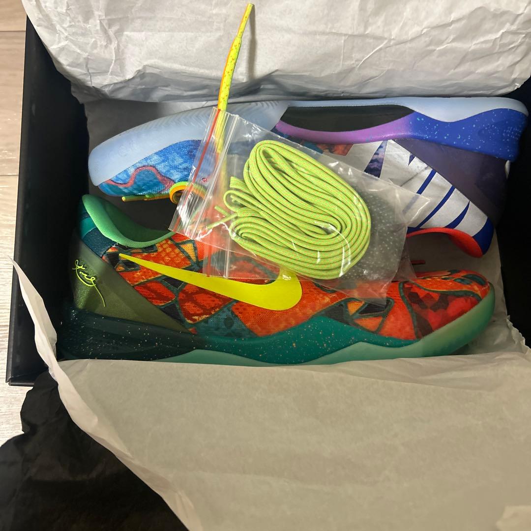 今週限定価格　Kobe8 protro What the