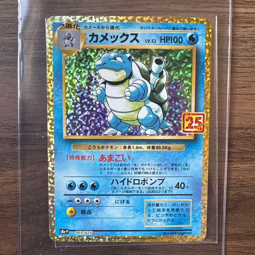 カメックス 25th Anniversary HP100