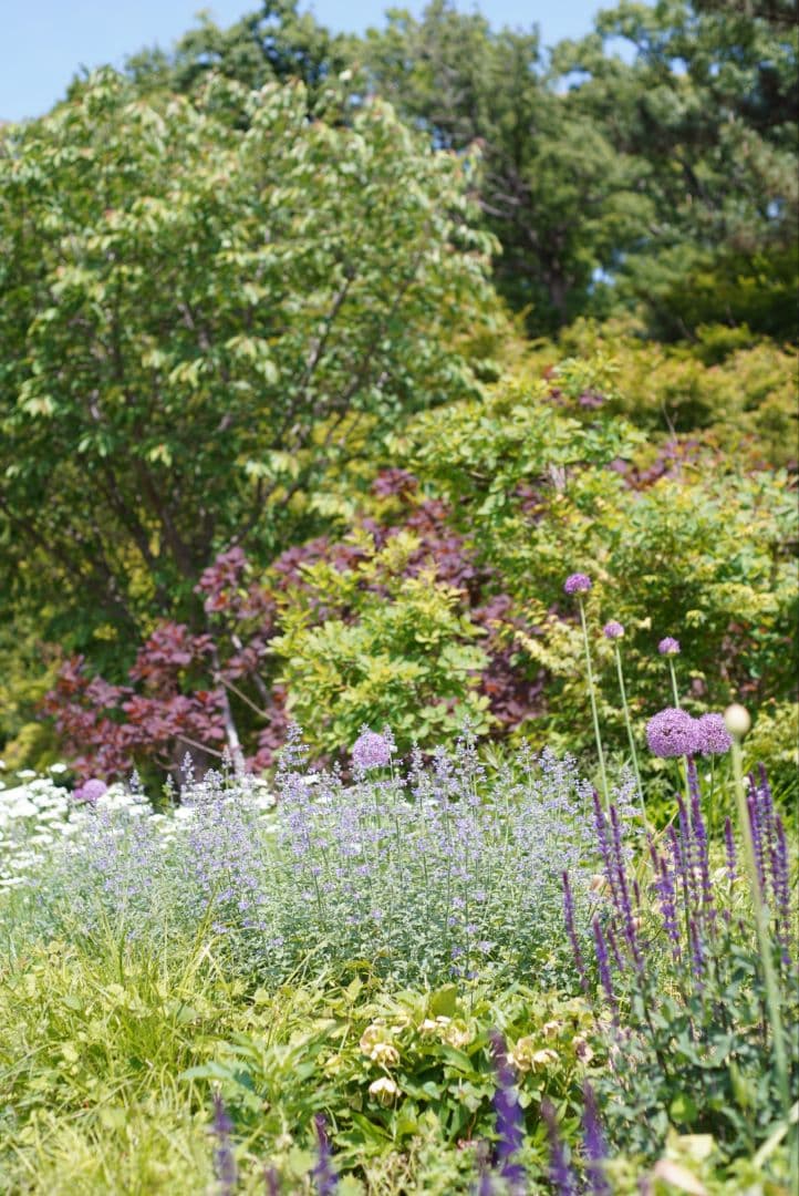 【美品】Nikon Ai 50mm f1.8 シリアルナンバーキリ番